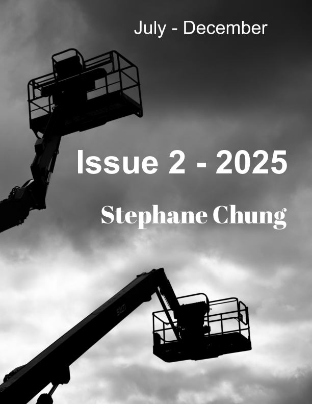 Issue 2 – 2025 / Jul–Dec
