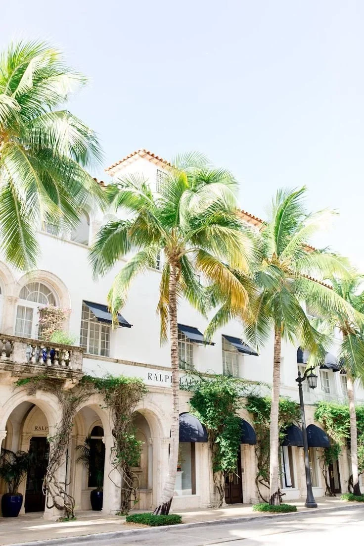 Street lined with palms, featuring elegant white architecture and arched windows