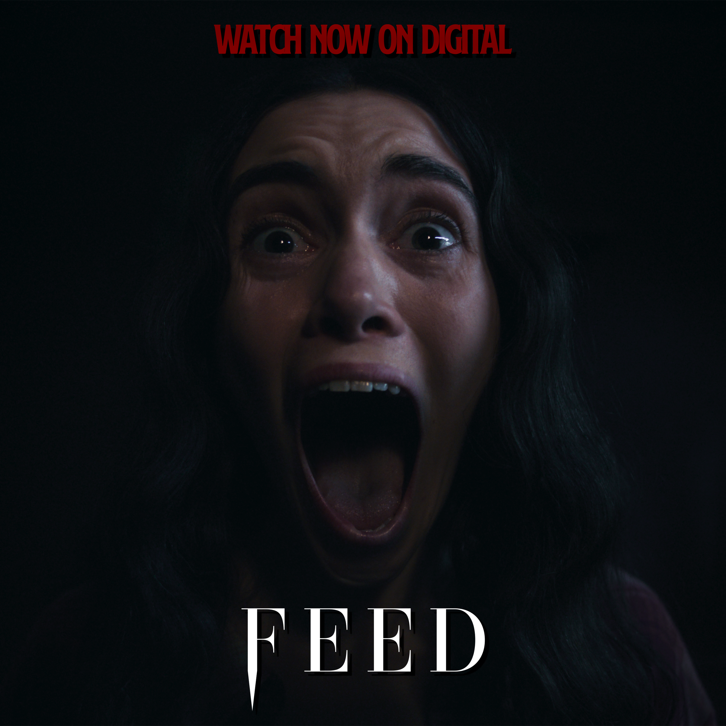 Feed / Release creative