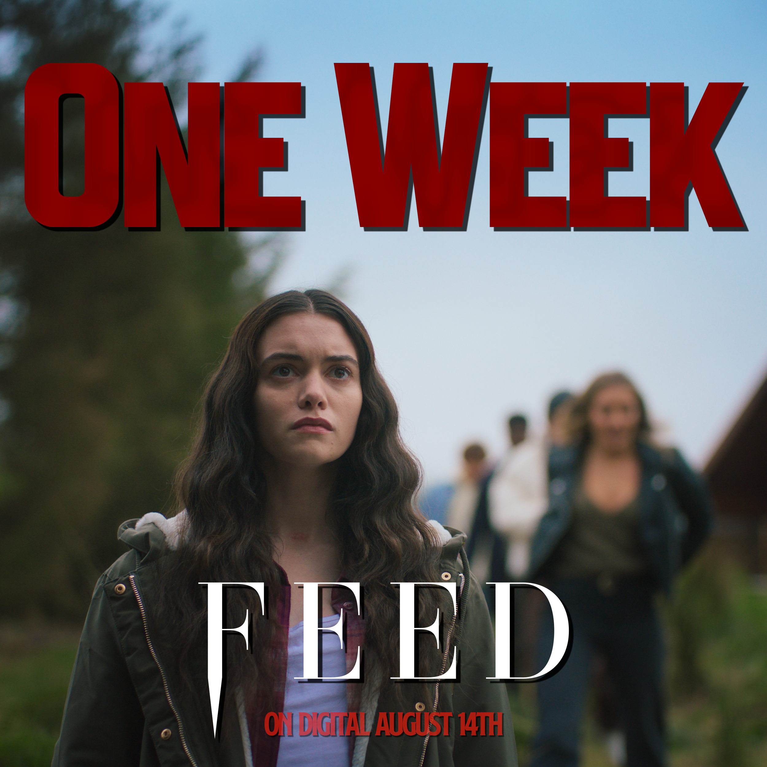 Feed / Release countdown