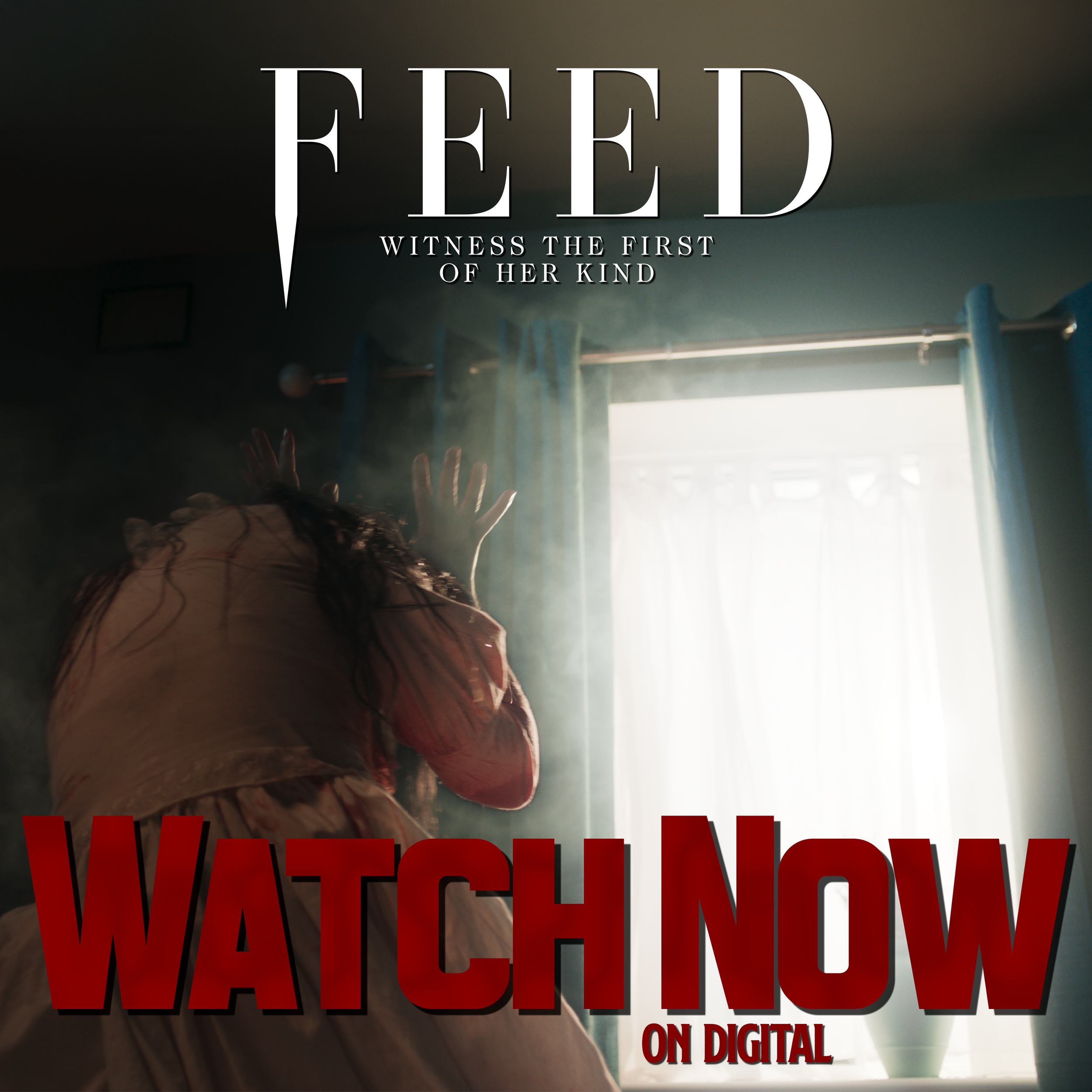 Feed / Campaign creative