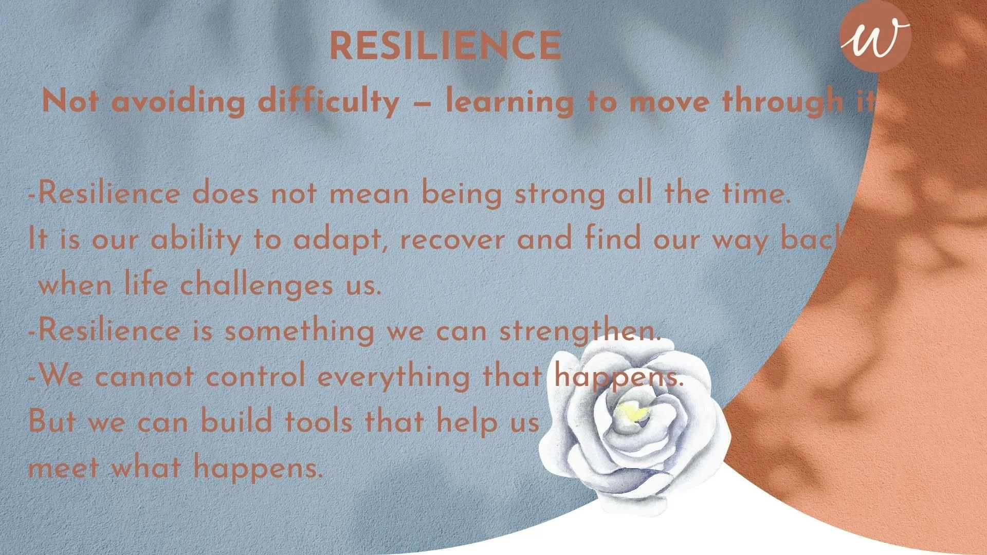 Billede 7