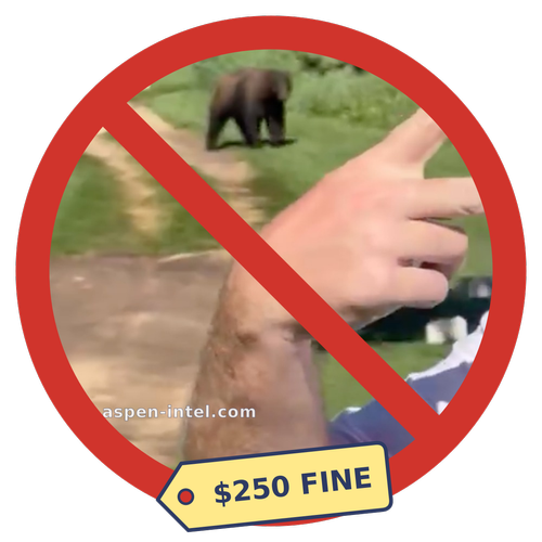 Aspen Intel Fall 2026: no bear selfies