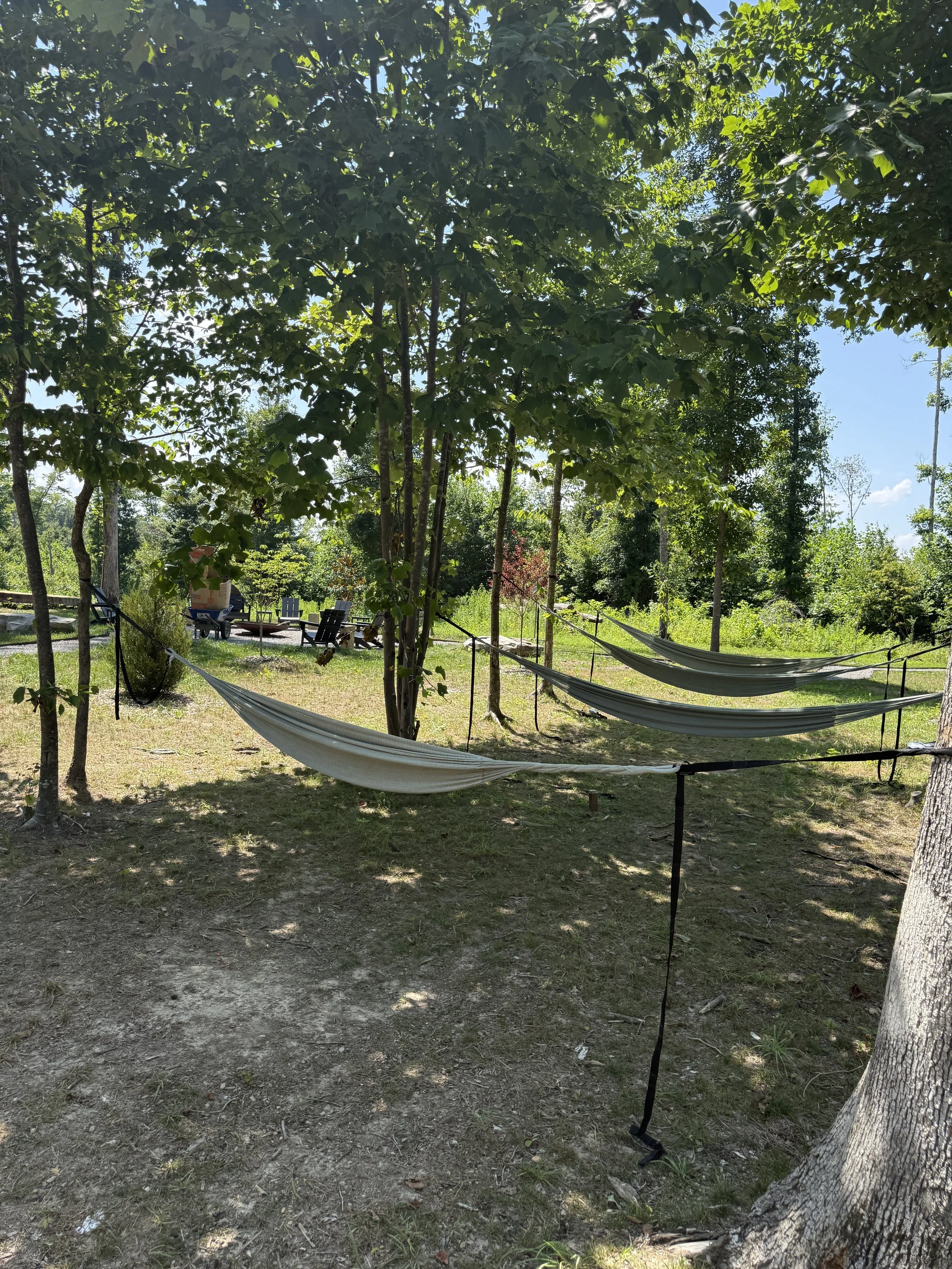 Hammock Zone