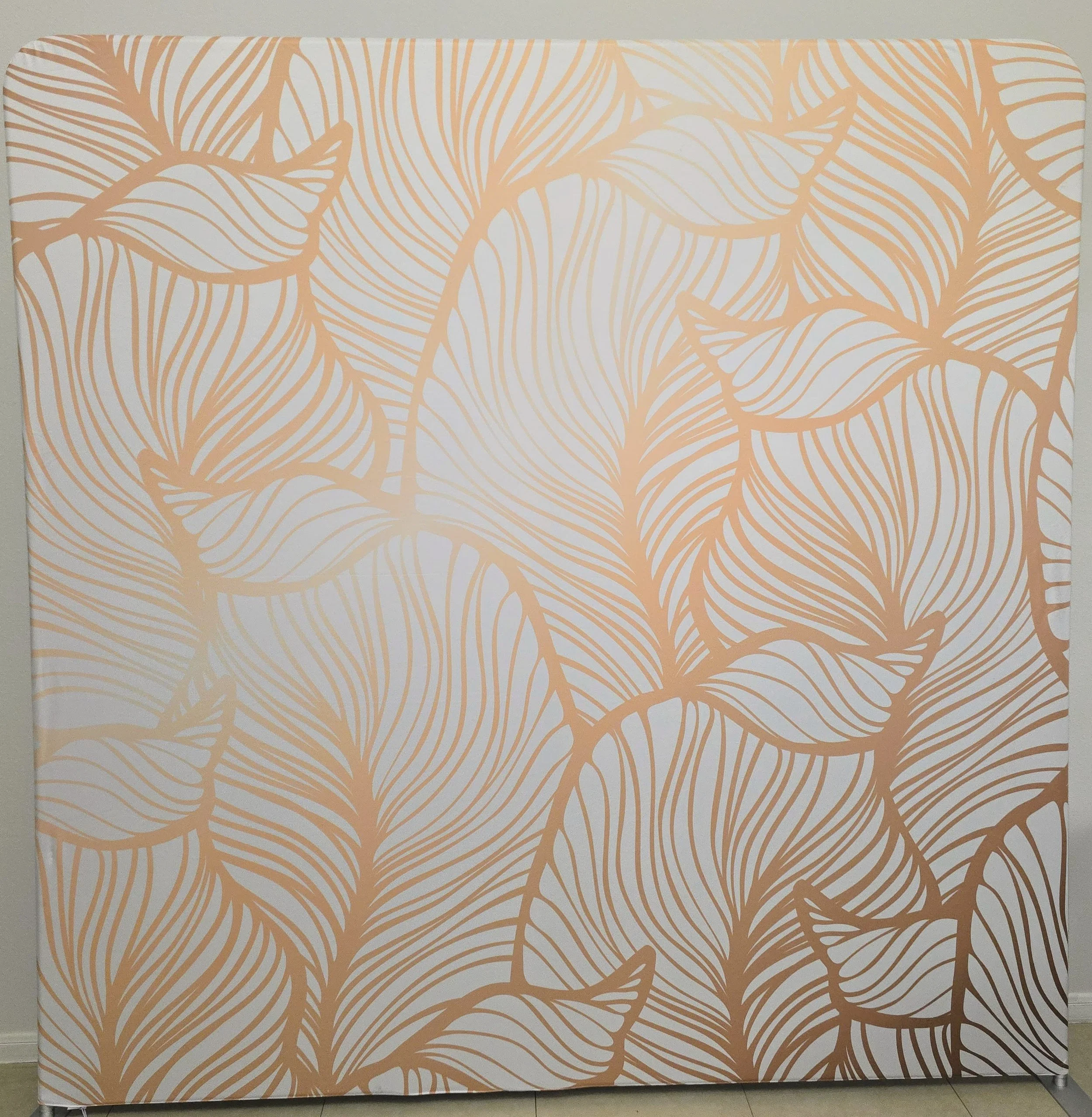 Backdrop B