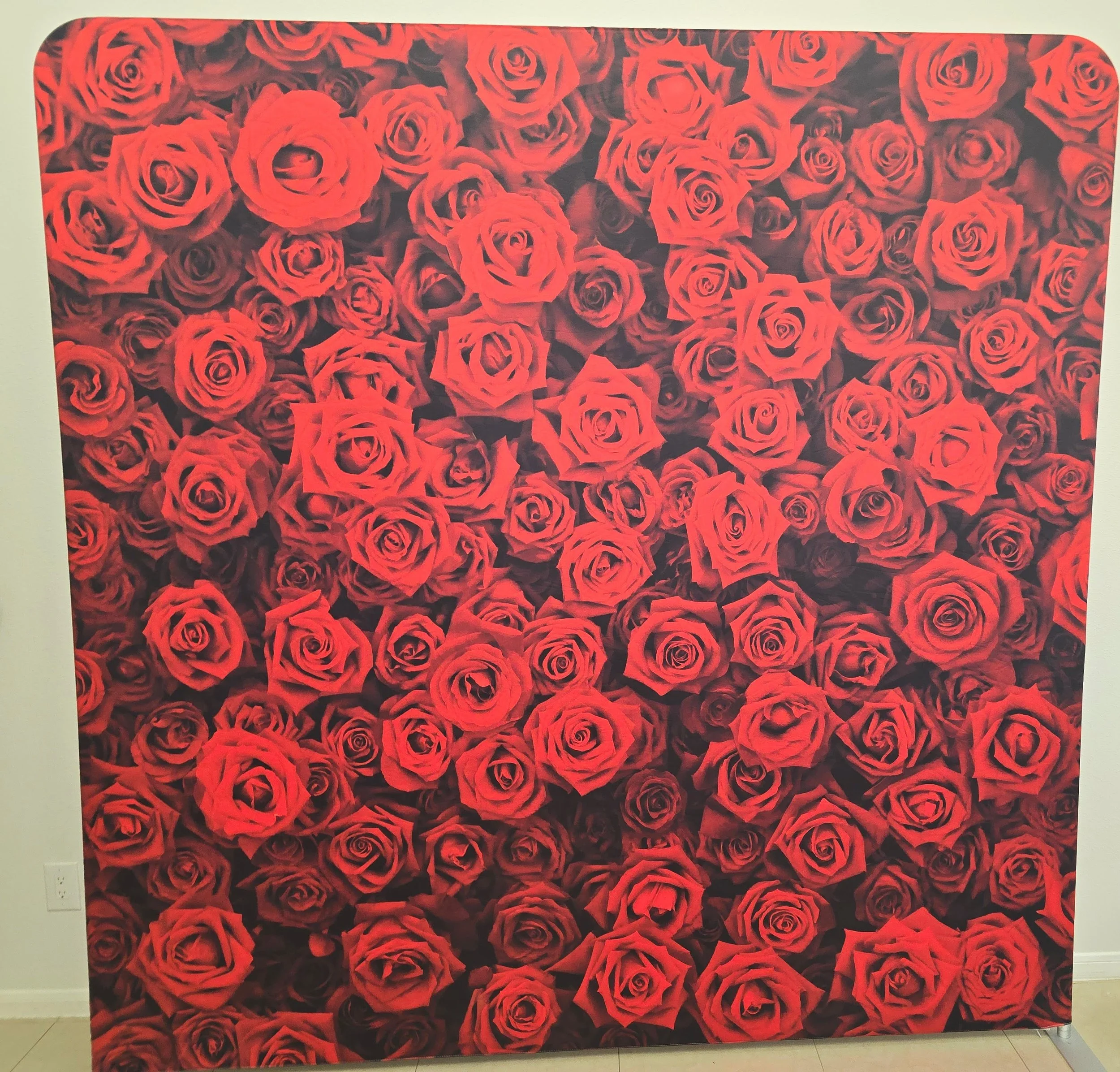 Backdrop D