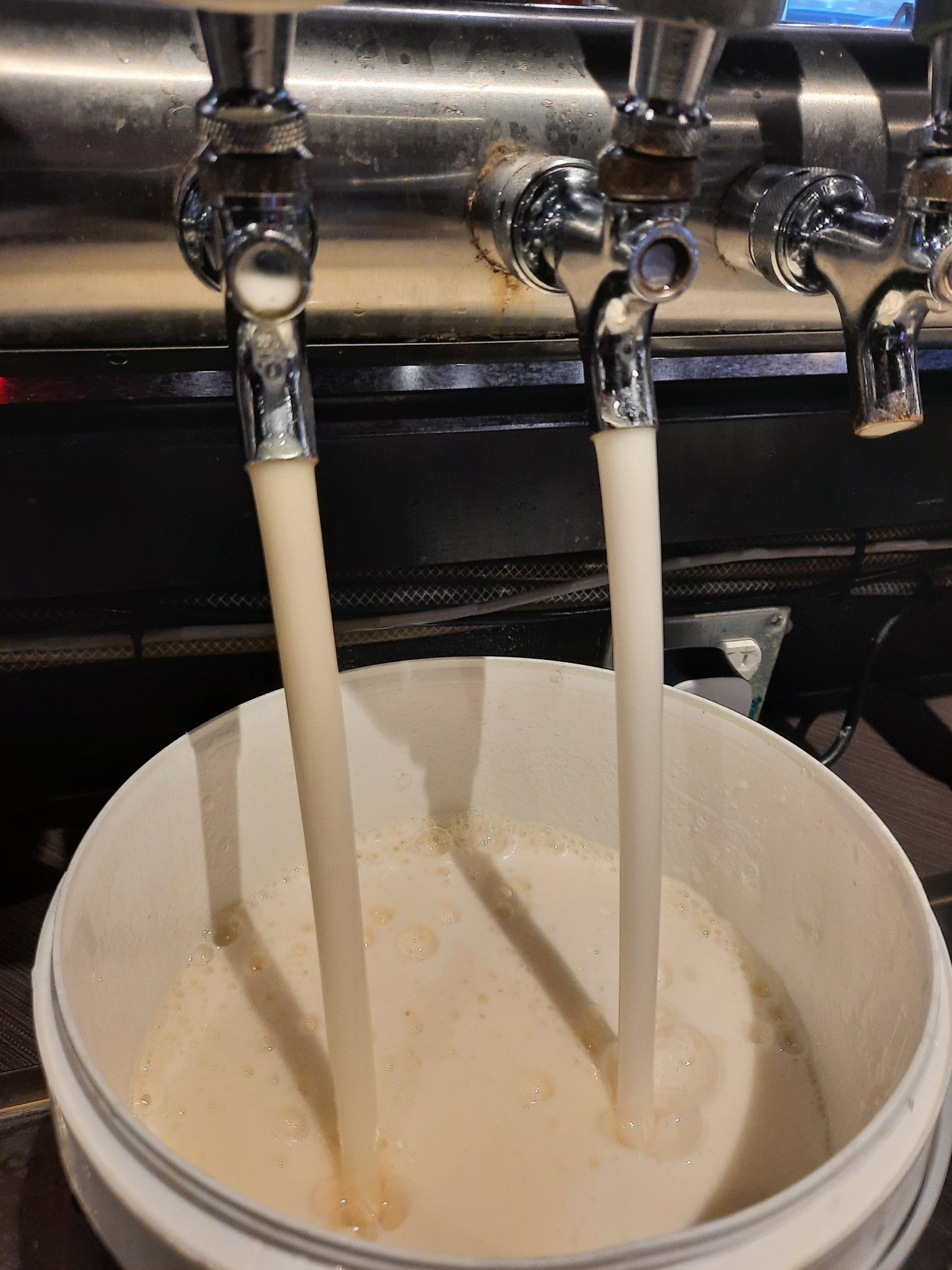 Foamy beer example