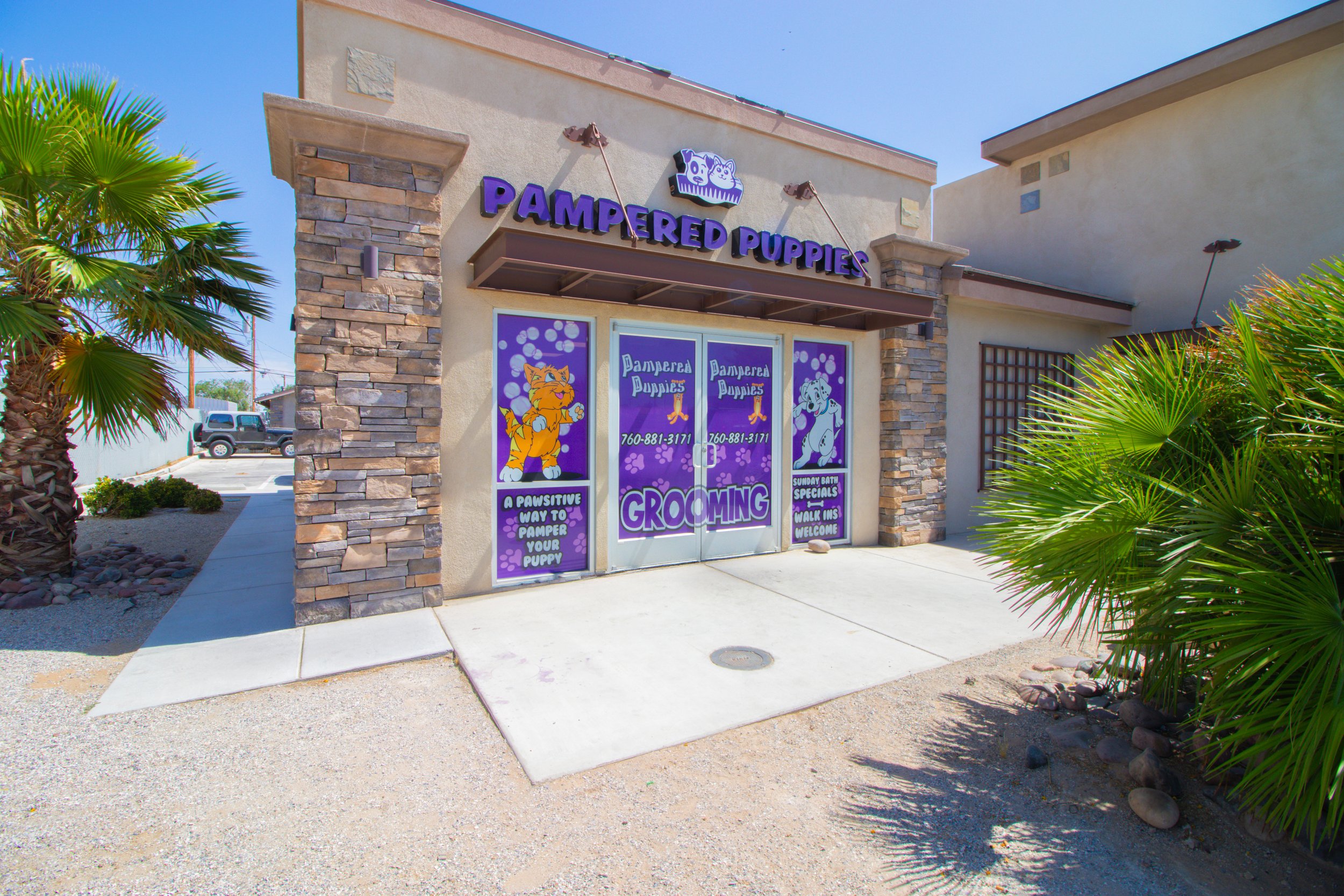 $65,000 · Pampered Puppies