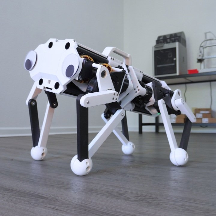 Cara – High Precision Robot Dog Using Rope