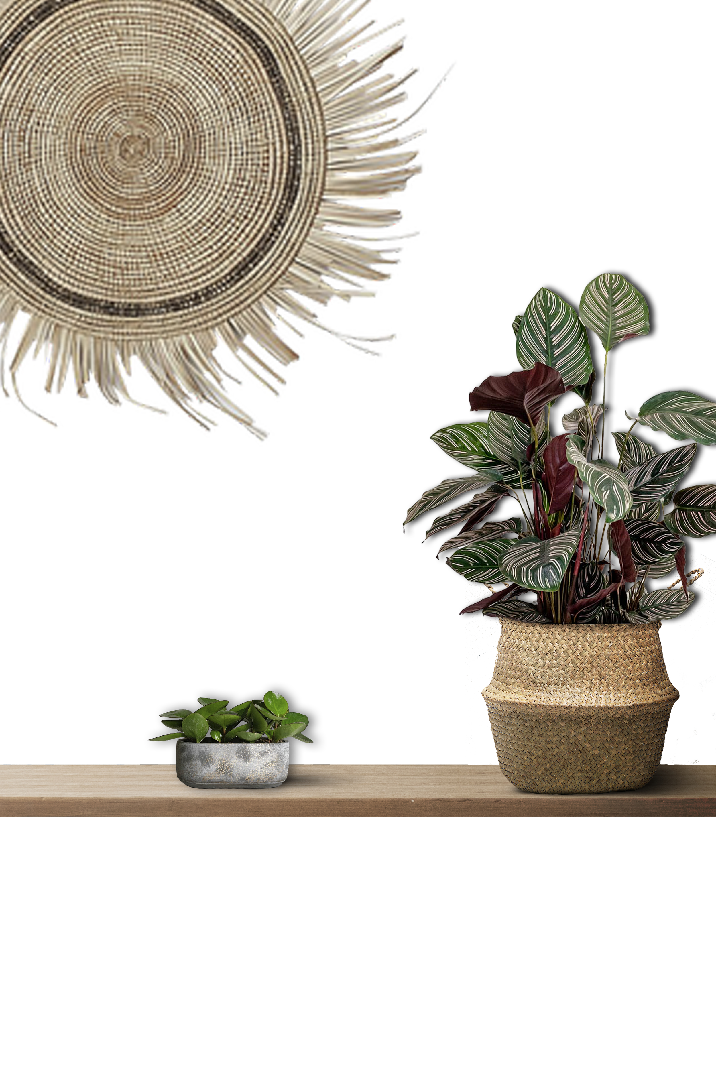Room Mockup