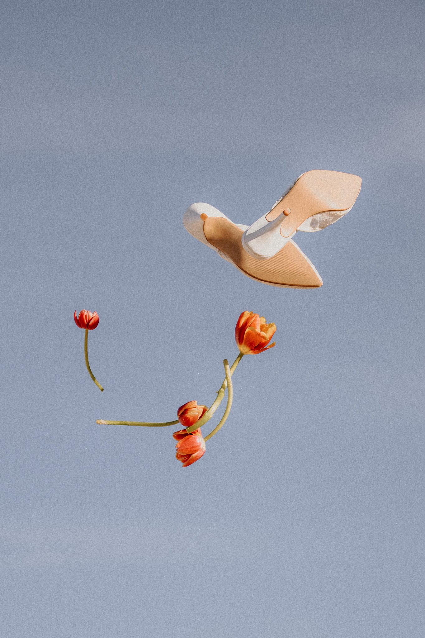 Adventurous Montana elopement couple in the Flathead Valley