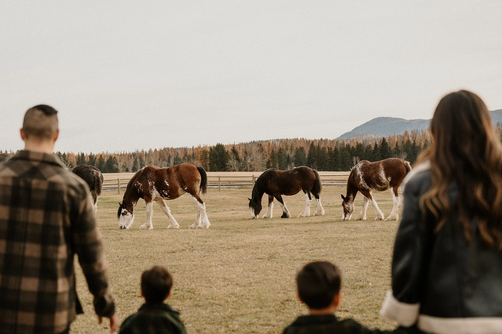 Family photography session in Glacier National Park by Kalispell photographer Stan Todorov