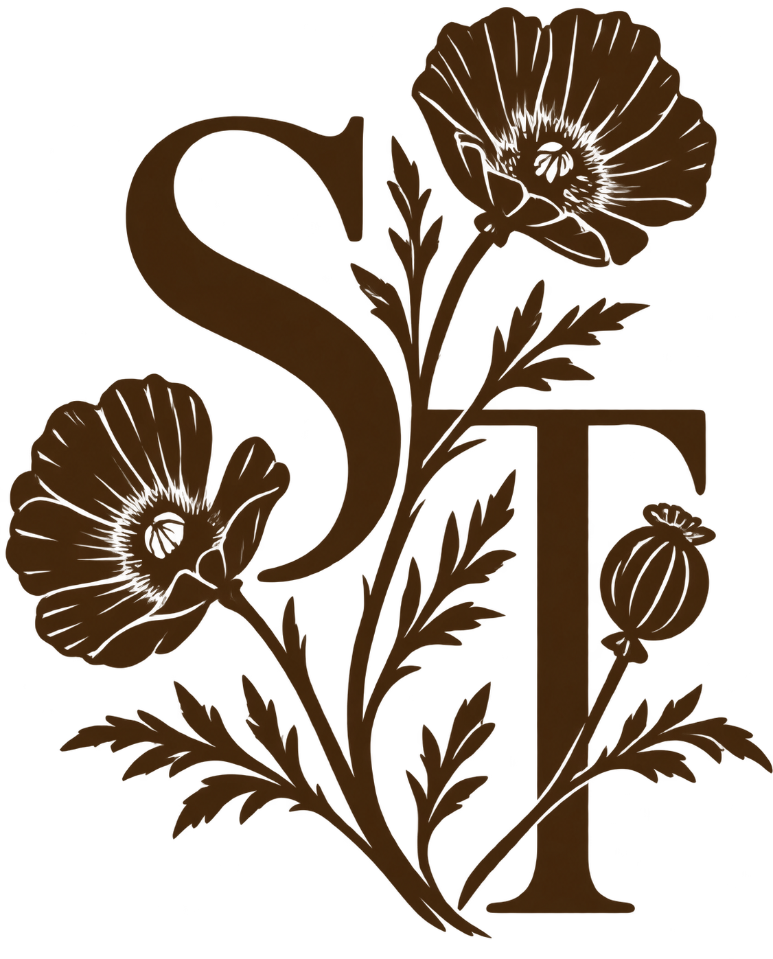 Stan Todorov Photography logo, Montana elopement photographer
