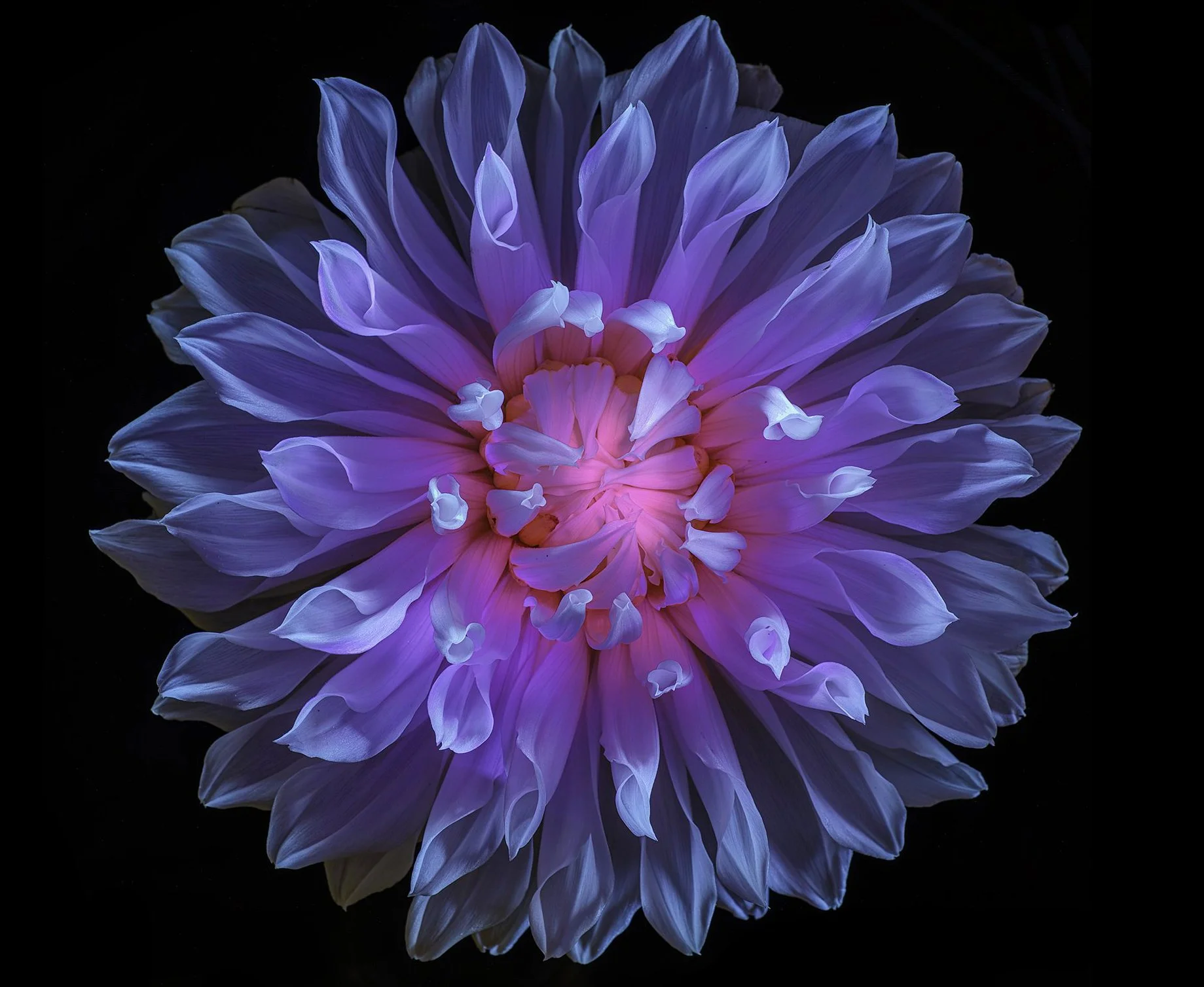 Artistic Image 2