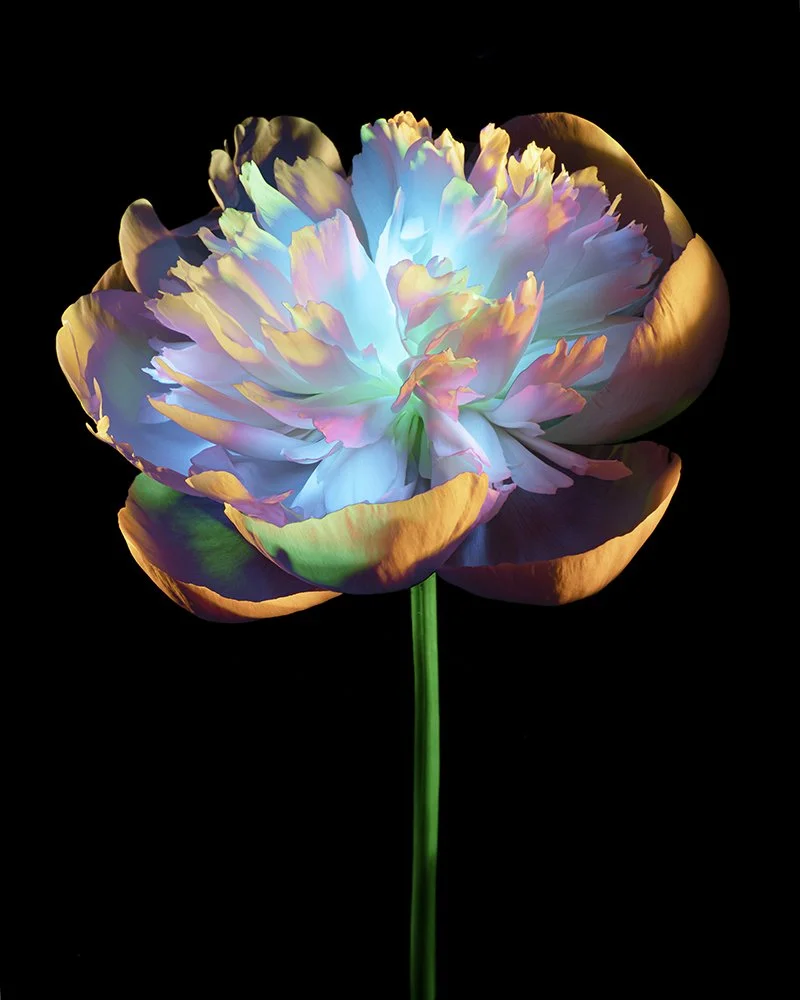 The Void of CreAtion