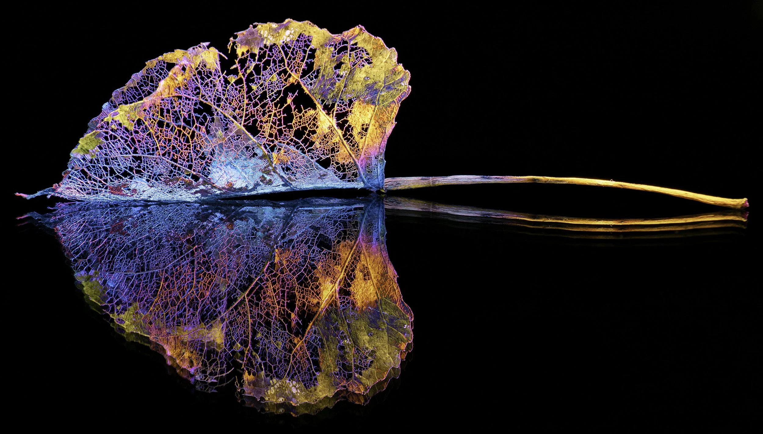 Artistic Image 1