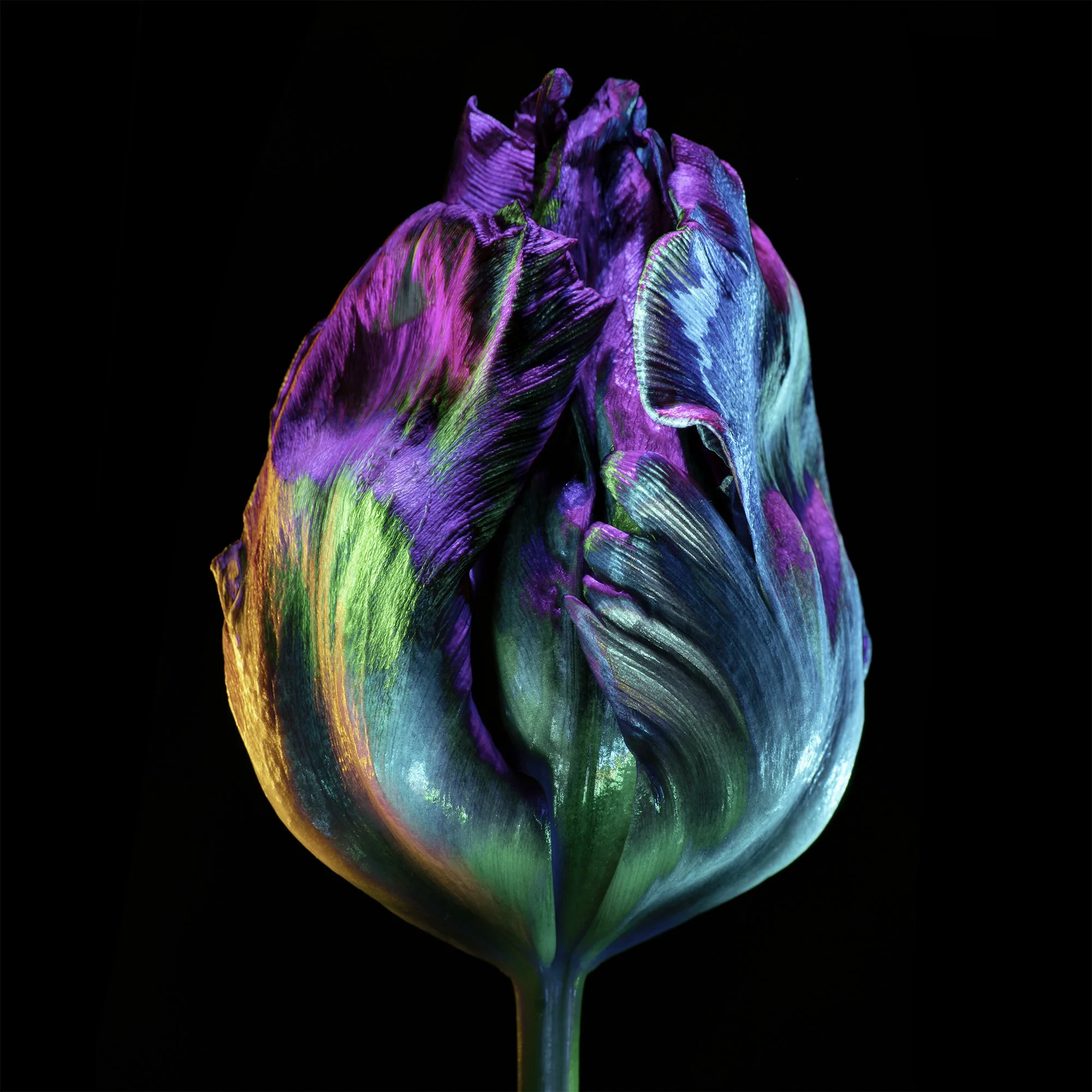 Artistic Image 2