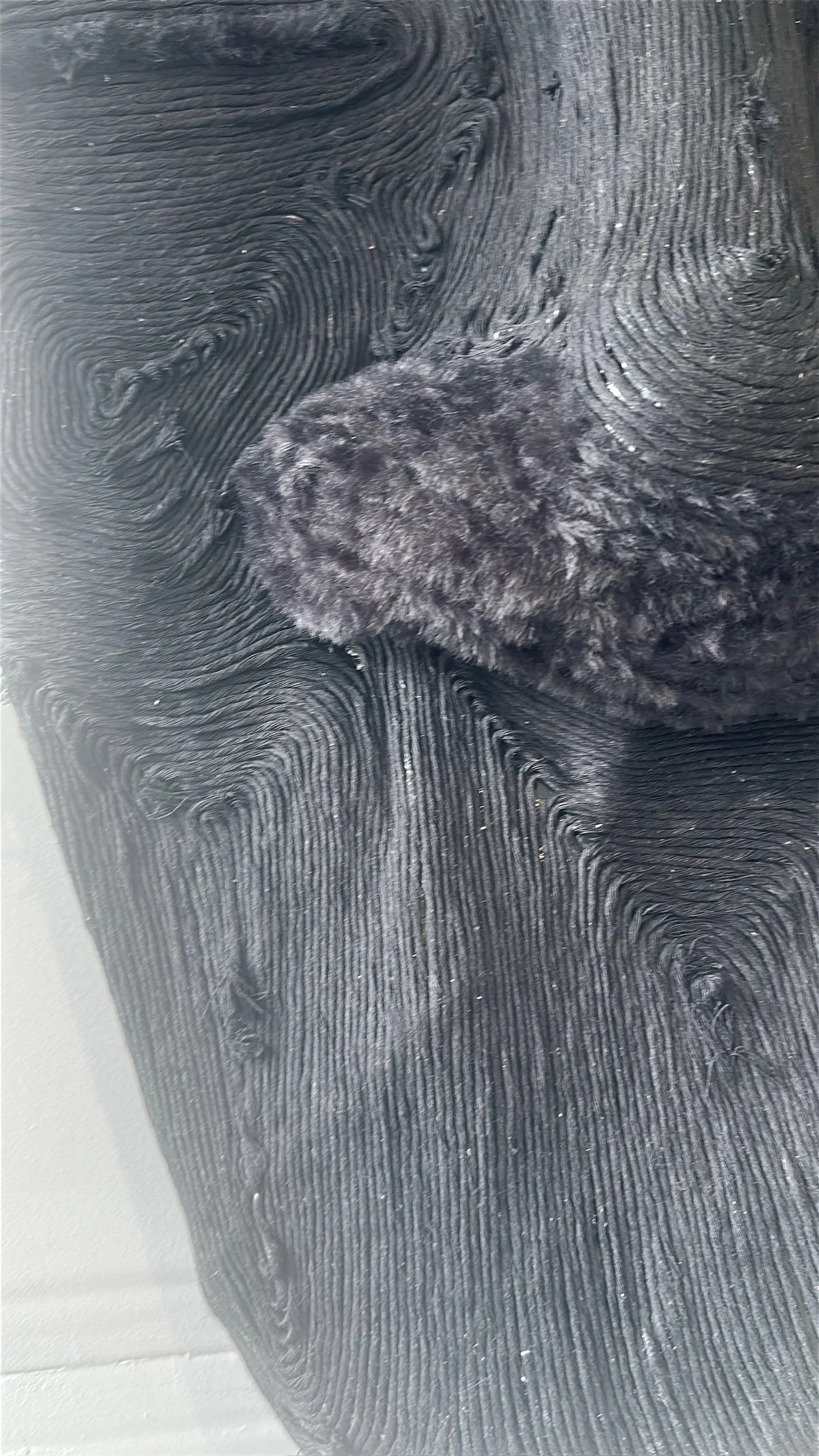 TRACES; exhibition