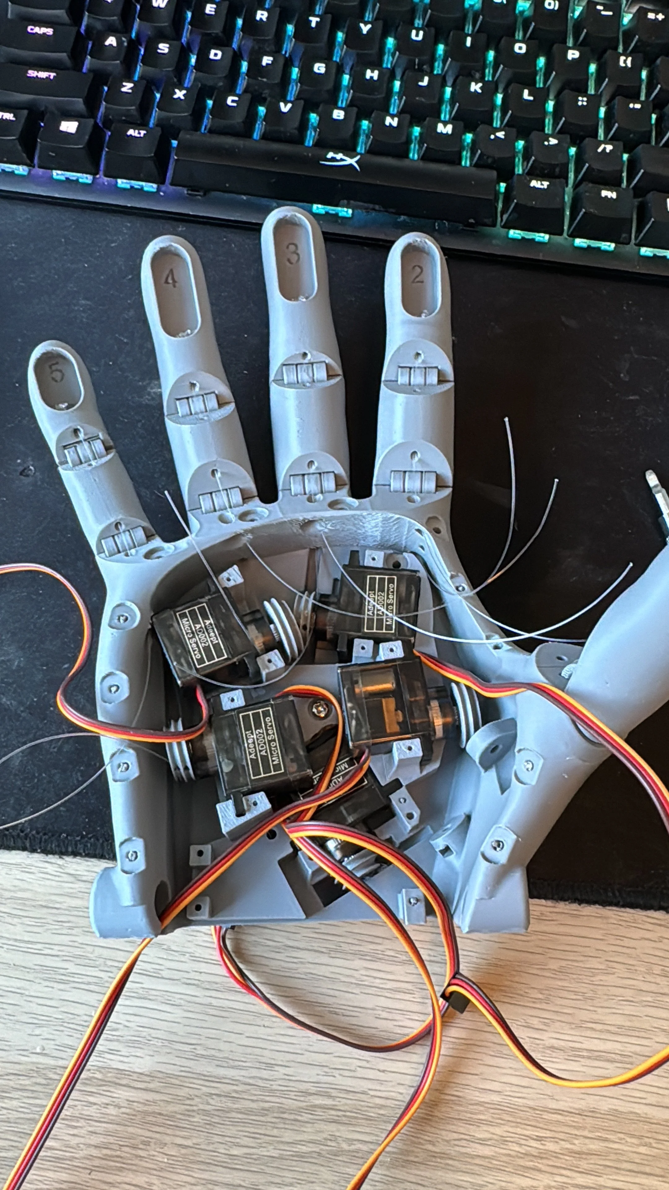 Prosthetic Hand