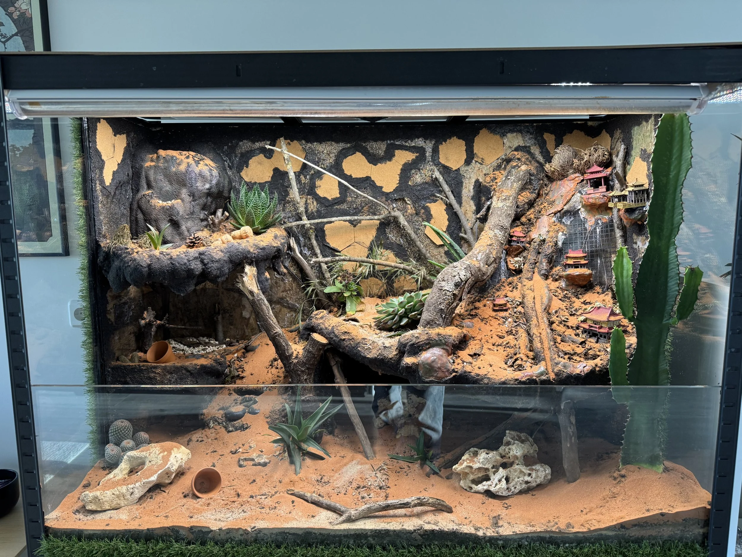 Desert Terrarium