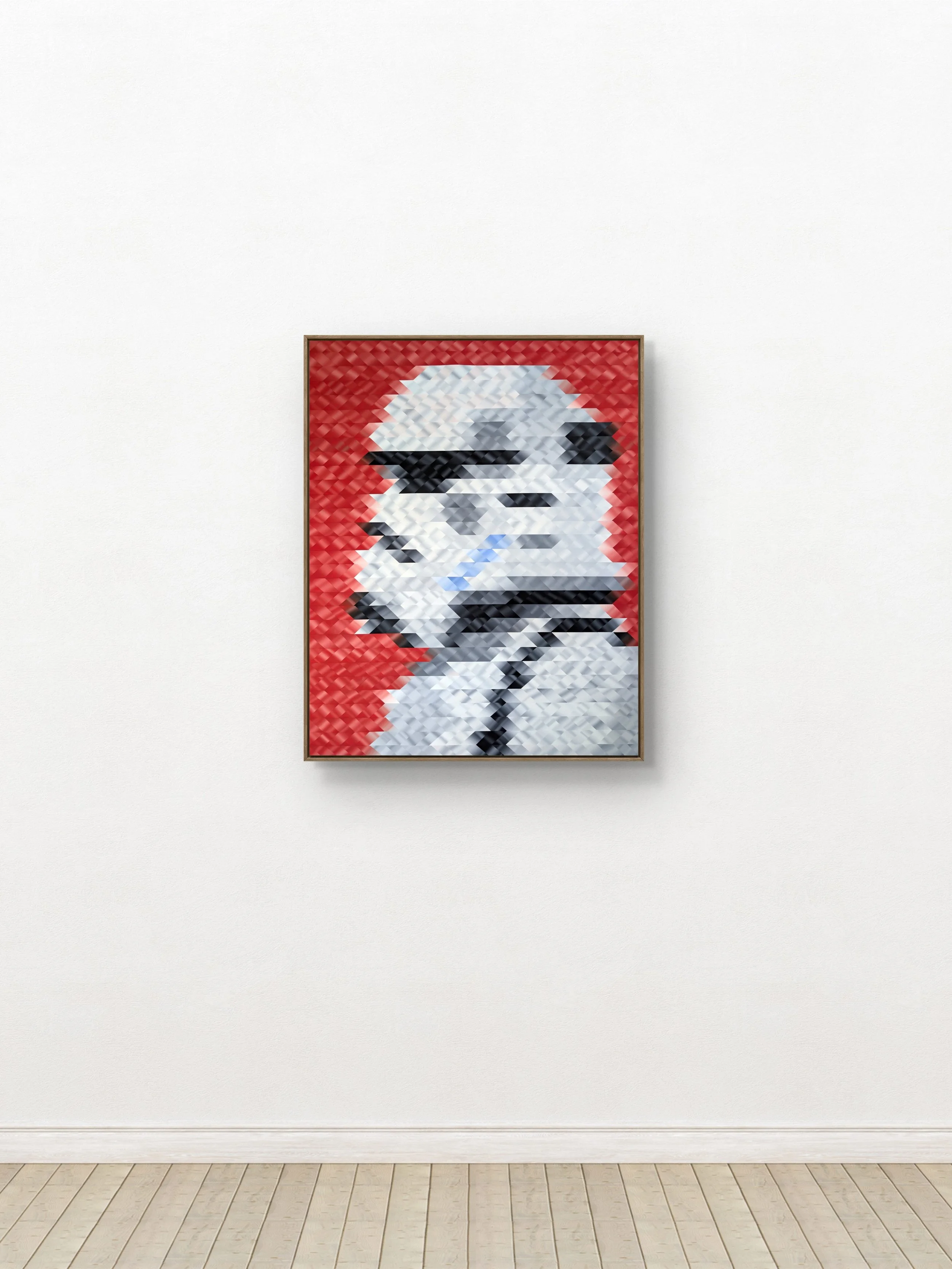 Stormtrooper - Wall View