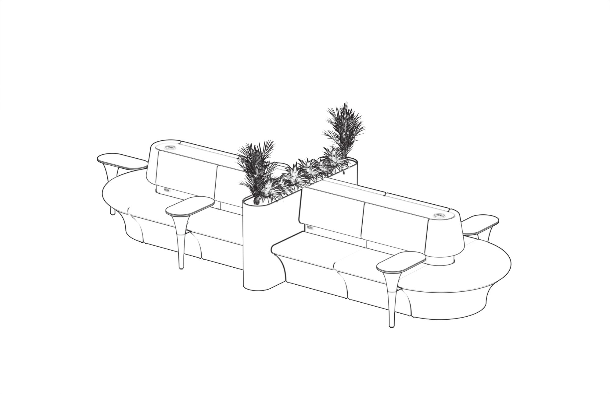 Linear typology