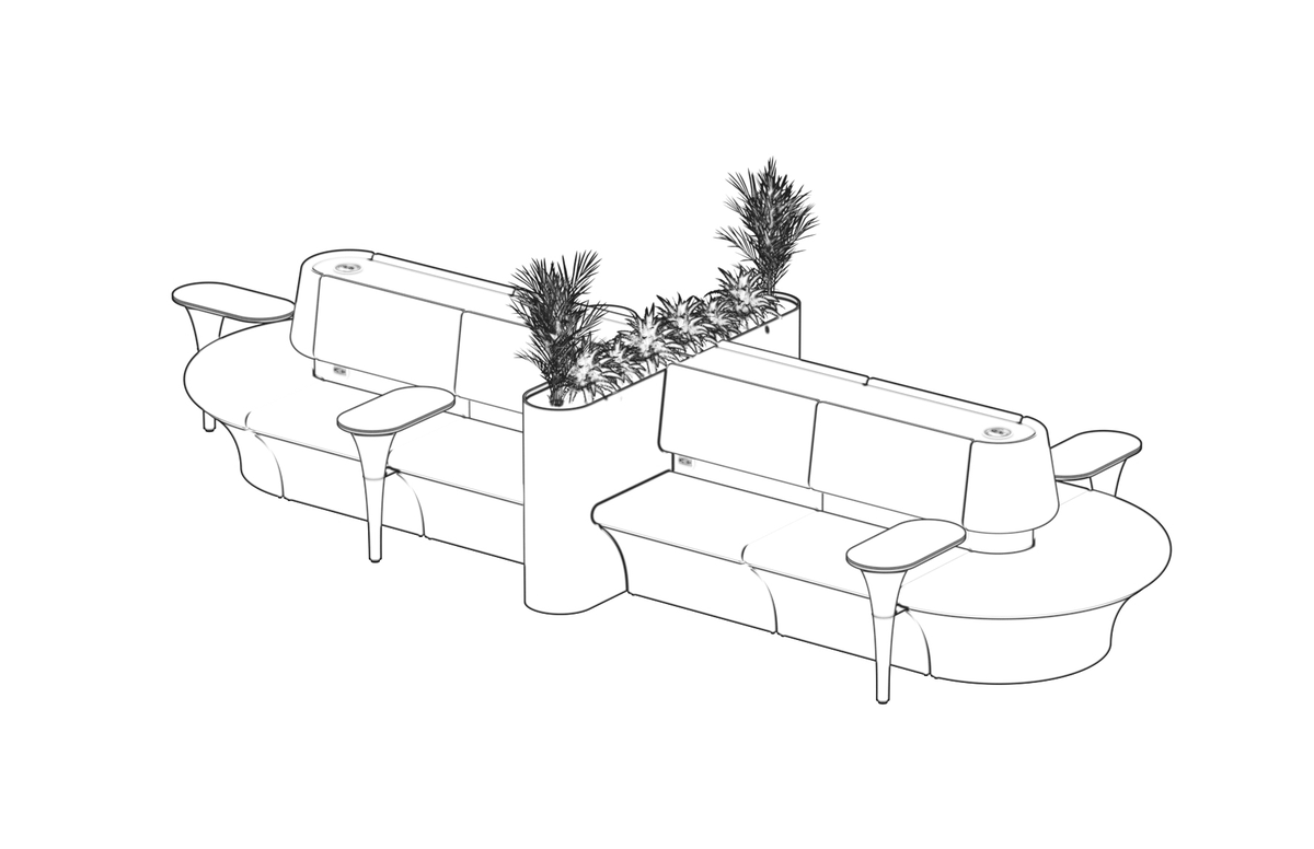 Linear typology