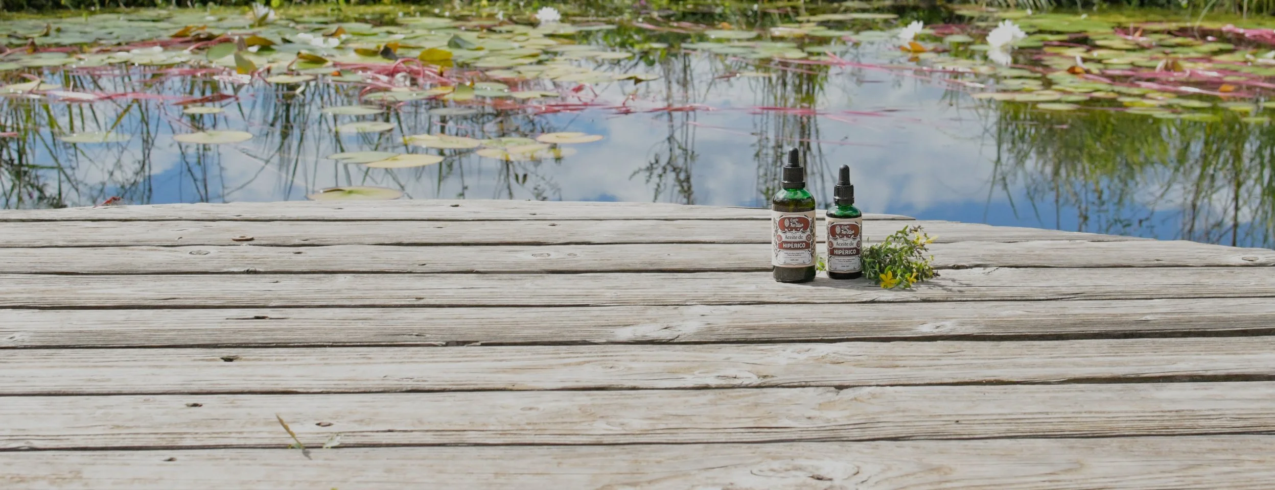 Nuevo Oleado de Hipérico