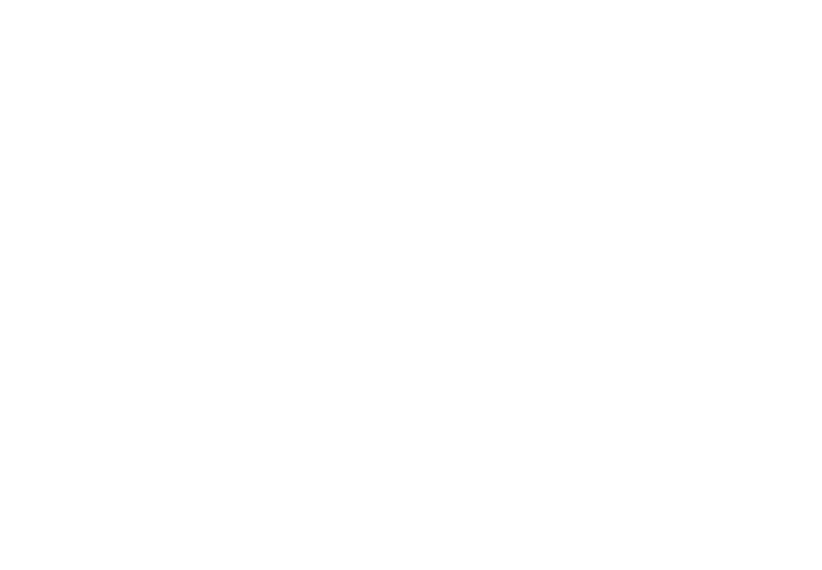 The Jimmy Carroll Foundation