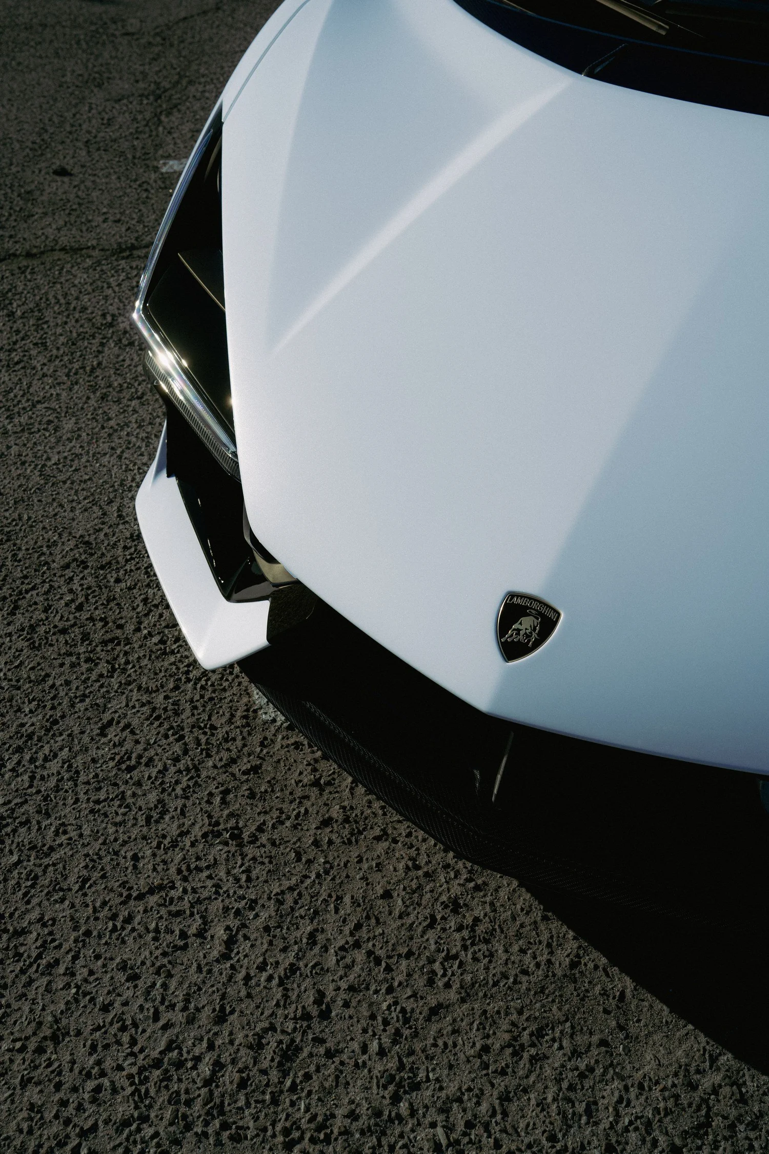 Lamborghini crest on the white Revuelto hood beside the black front aero.