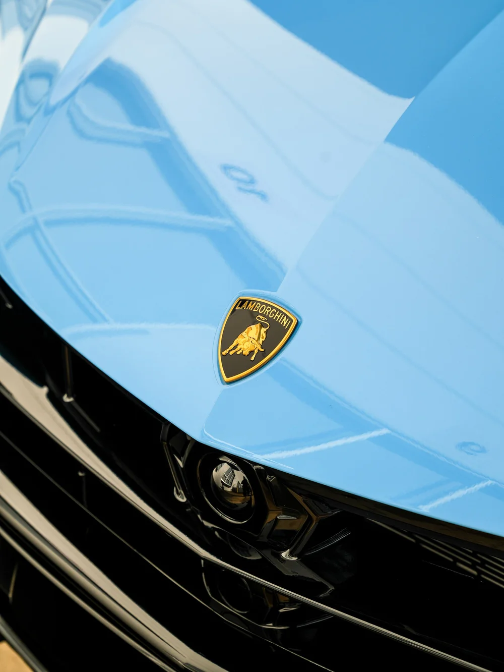 Lamborghini crest on the light-blue Urus SE hood, with building reflections and the black front grille below