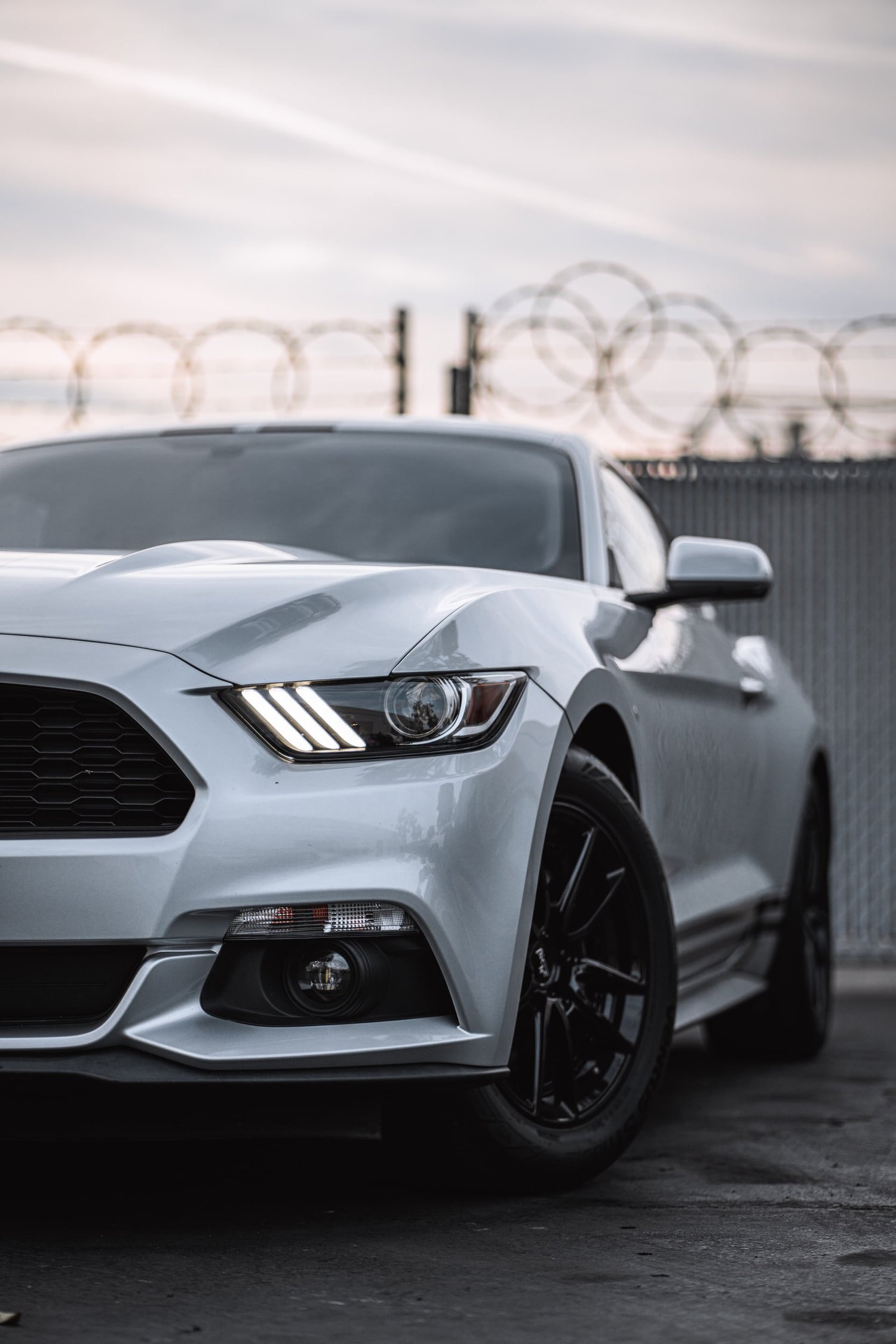 Ford Mustang & Mercedes-Benz C 63 Racing Stripes after Custom Graphics, front-corner view