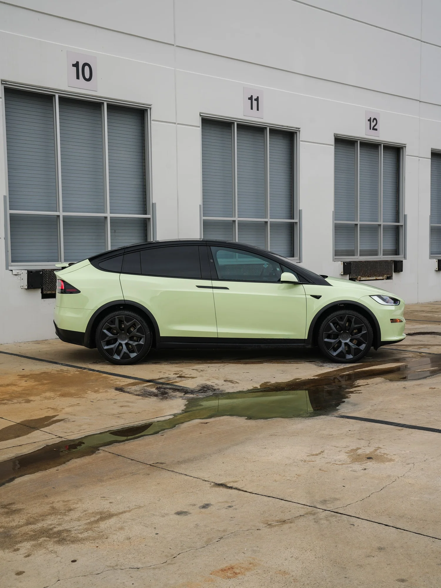 Tesla Model X Avocado Green after Vinyl Wrap, left-side profile