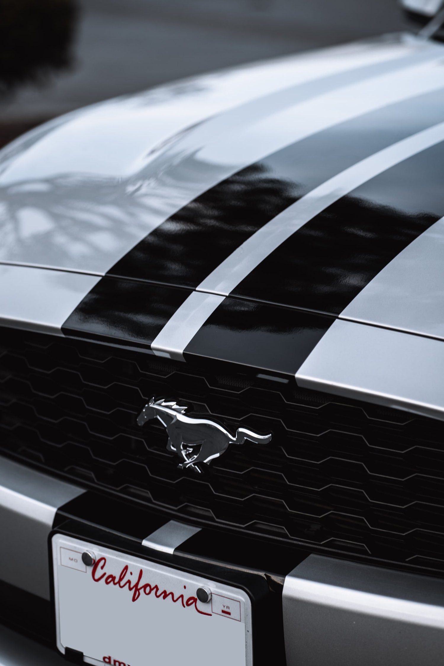 Ford Mustang & Mercedes-Benz C 63 Racing Stripes after Custom Graphics, hood and paint-finish detail