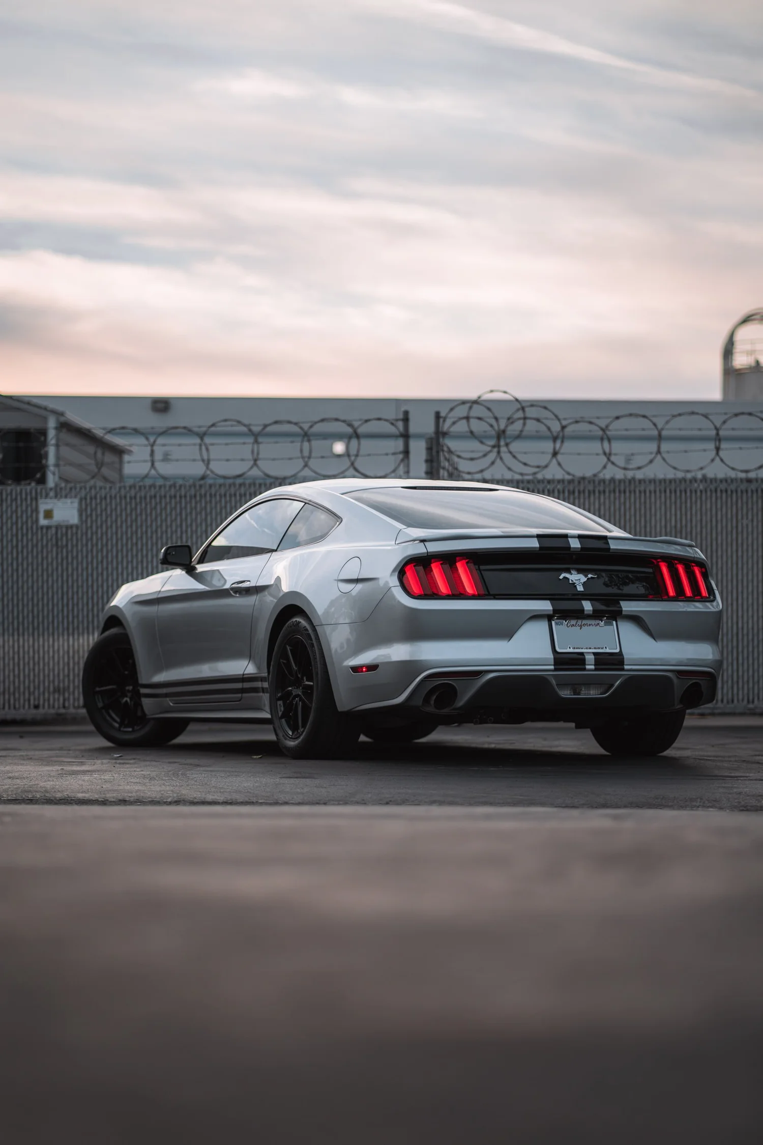 Ford Mustang & Mercedes-Benz C 63 Racing Stripes after Custom Graphics, rear-right three-quarter view