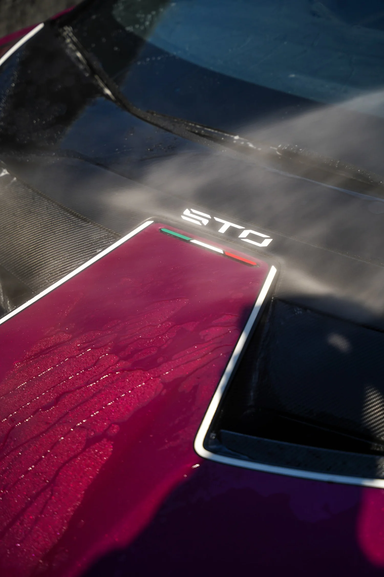 Lamborghini Mobile after Detailing, hood and paint-finish detail