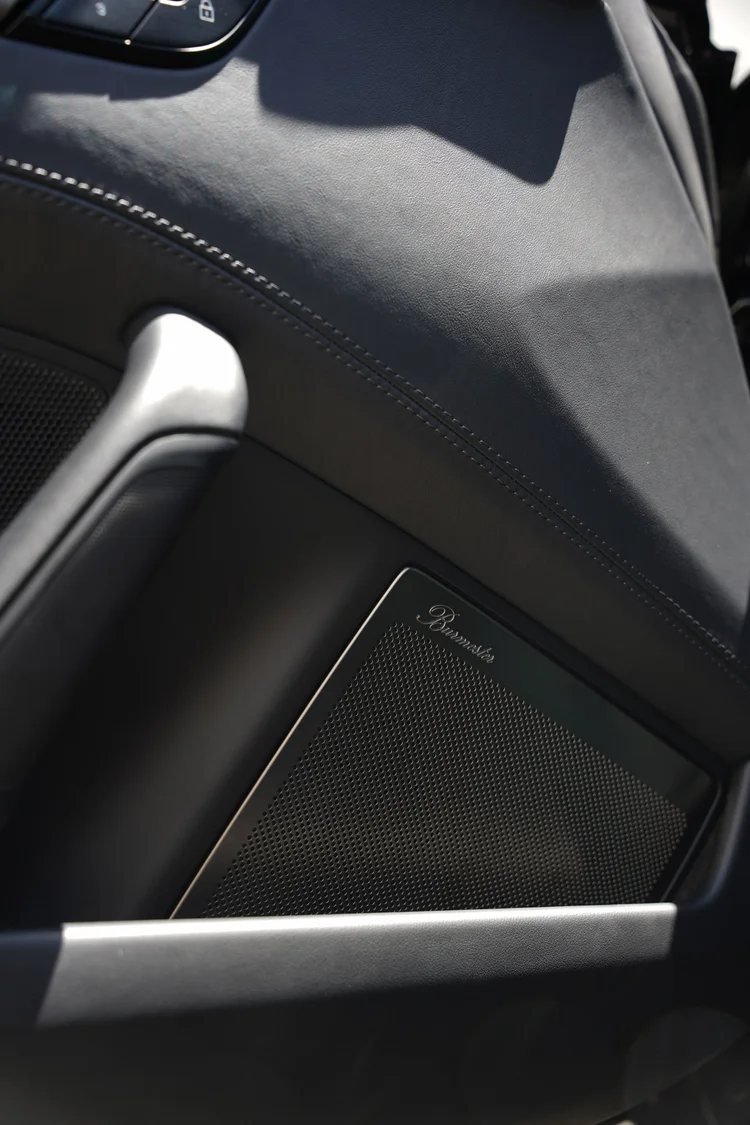 Turbo S interior door trim with stitching, door pull and speaker grille.