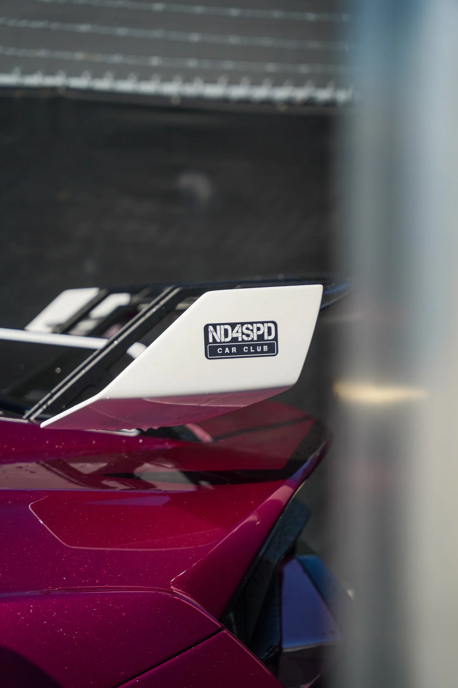 Lamborghini Mobile after Detailing, film-edge and surface-finish detail
