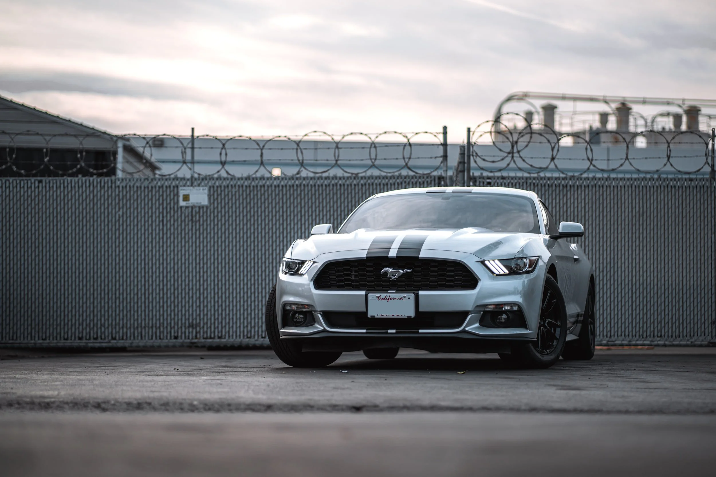 Ford Mustang & Mercedes-Benz C 63 Racing Stripes — Custom Graphics