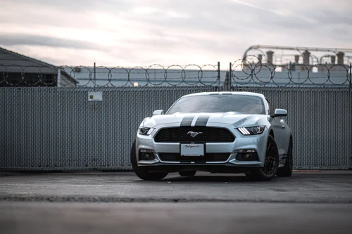 Ford Mustang & Mercedes-Benz C 63 Racing Stripes project photo