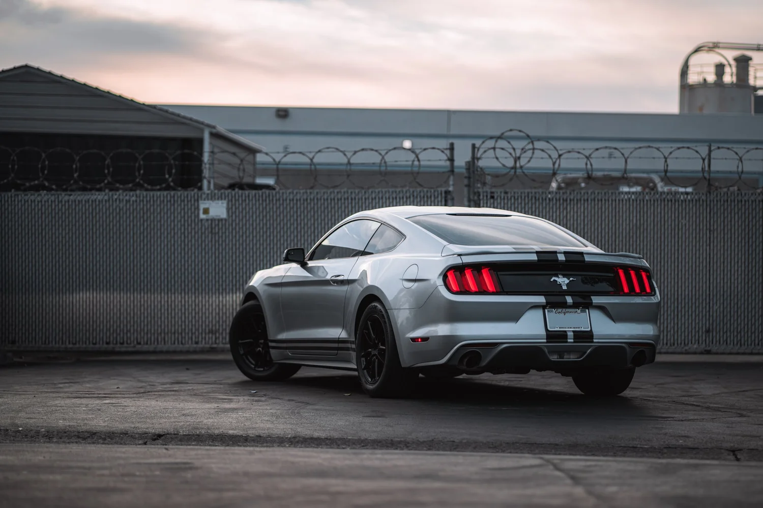 Ford Mustang & Mercedes-Benz C 63 Racing Stripes after Custom Graphics, low-angle rear view