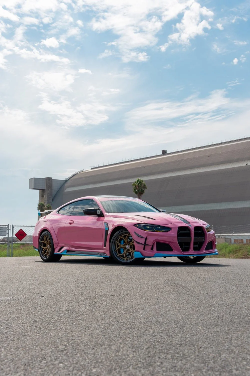 Pink BMW M4 Full-Body Colored PPF, XPEL XR Plus Window Tint & XPEL Fusion Ceramic Coating — Full-Body Colored PPF · XPEL XR Plus Window Tint · XPEL Fusion Ceramic Coating