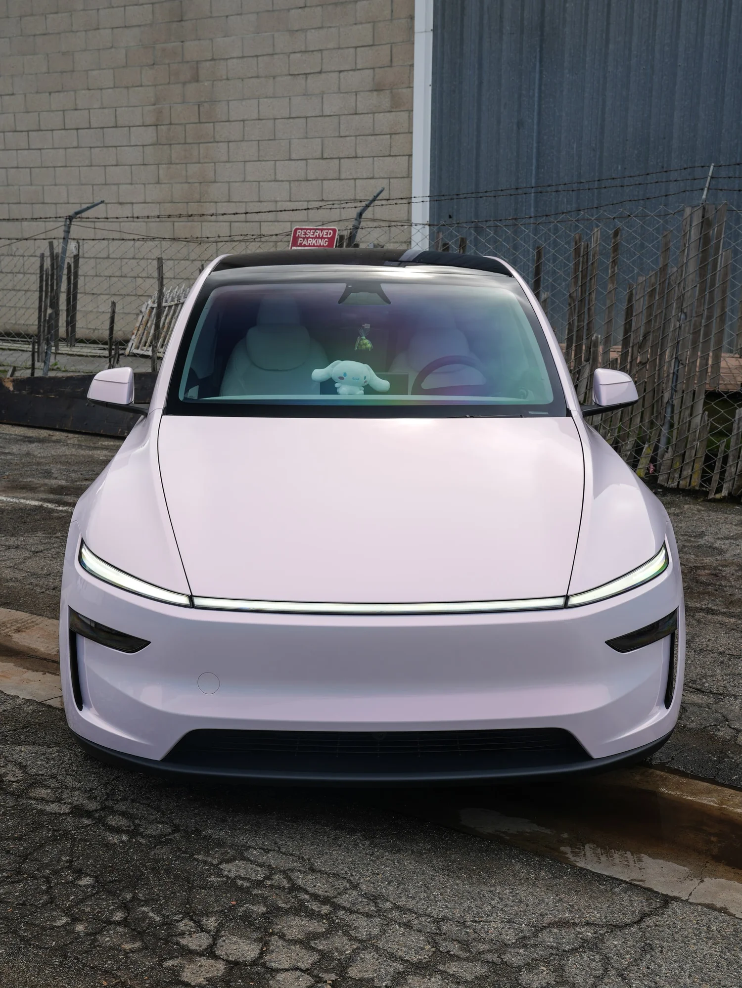 Completed Tesla Model Y Pink project in Irvine