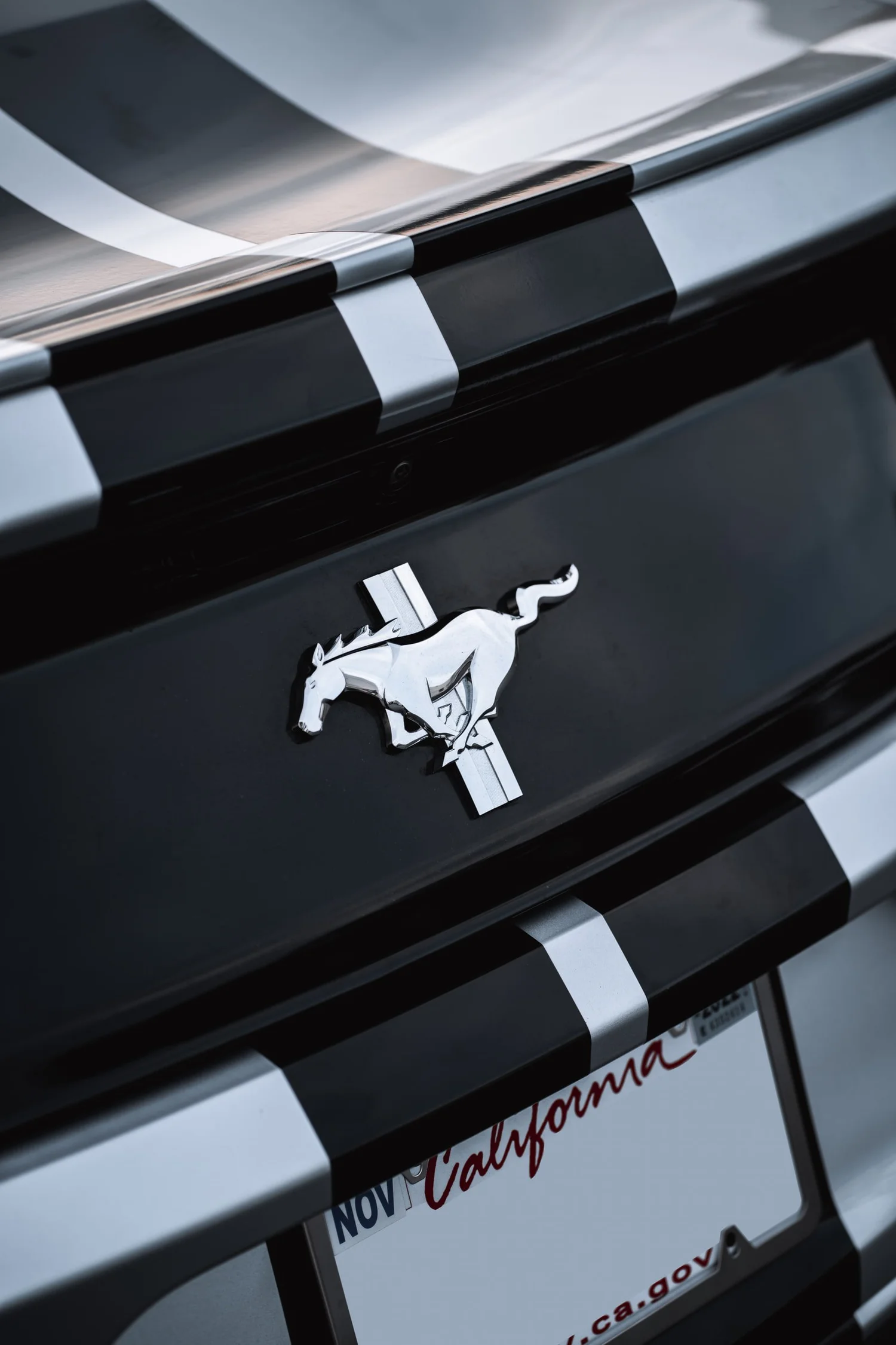Ford Mustang & Mercedes-Benz C 63 Racing Stripes after Custom Graphics, badge and emblem detail