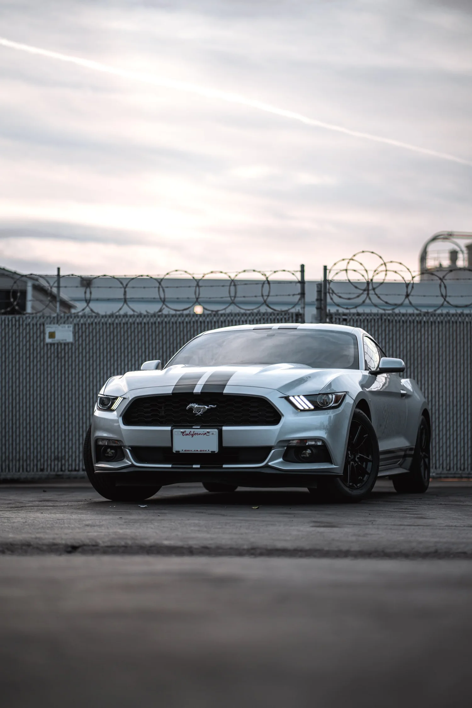 Ford Mustang & Mercedes-Benz C 63 Racing Stripes after Custom Graphics, low-angle front view