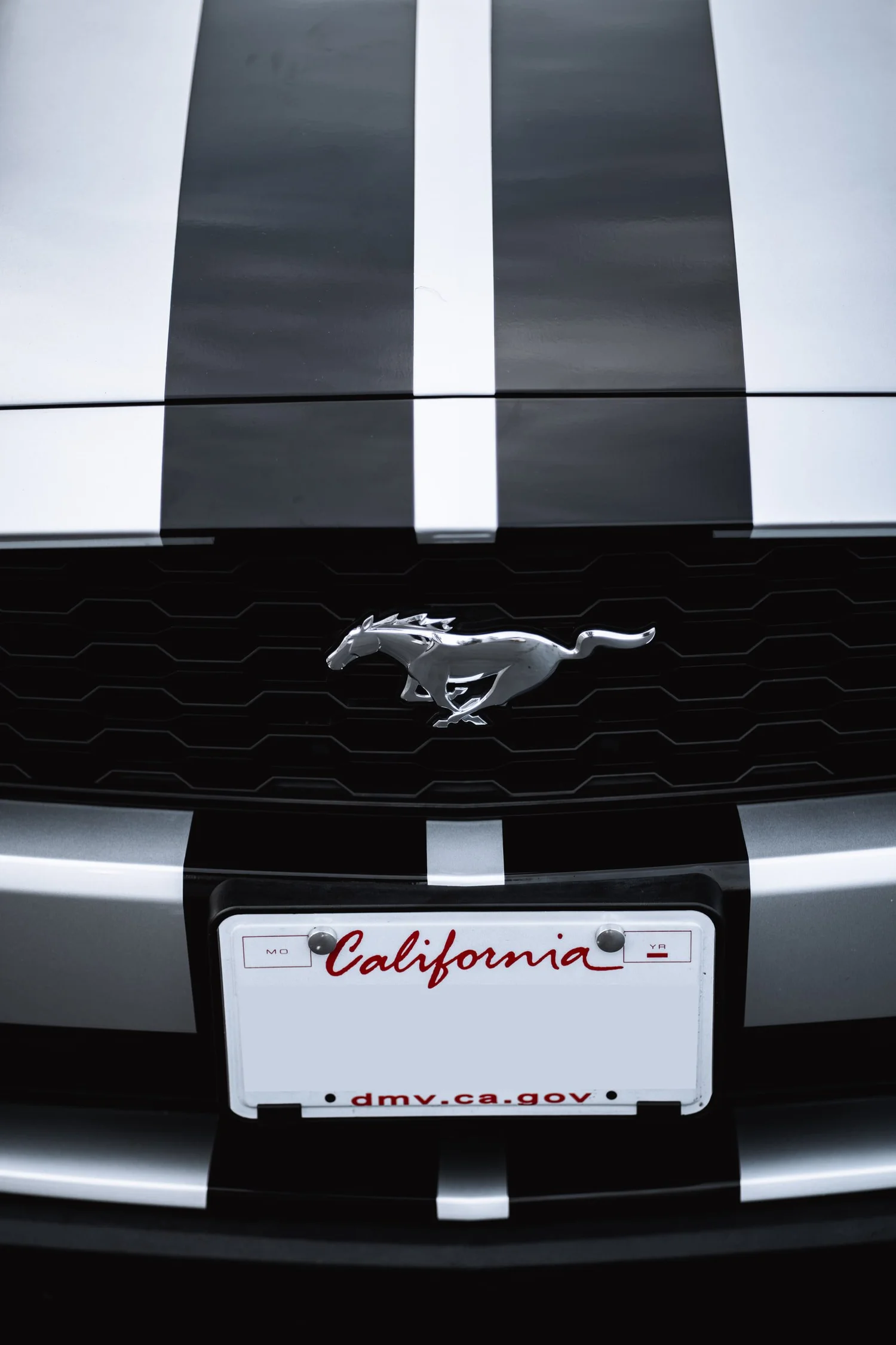 Ford Mustang & Mercedes-Benz C 63 Racing Stripes after Custom Graphics, front grille detail