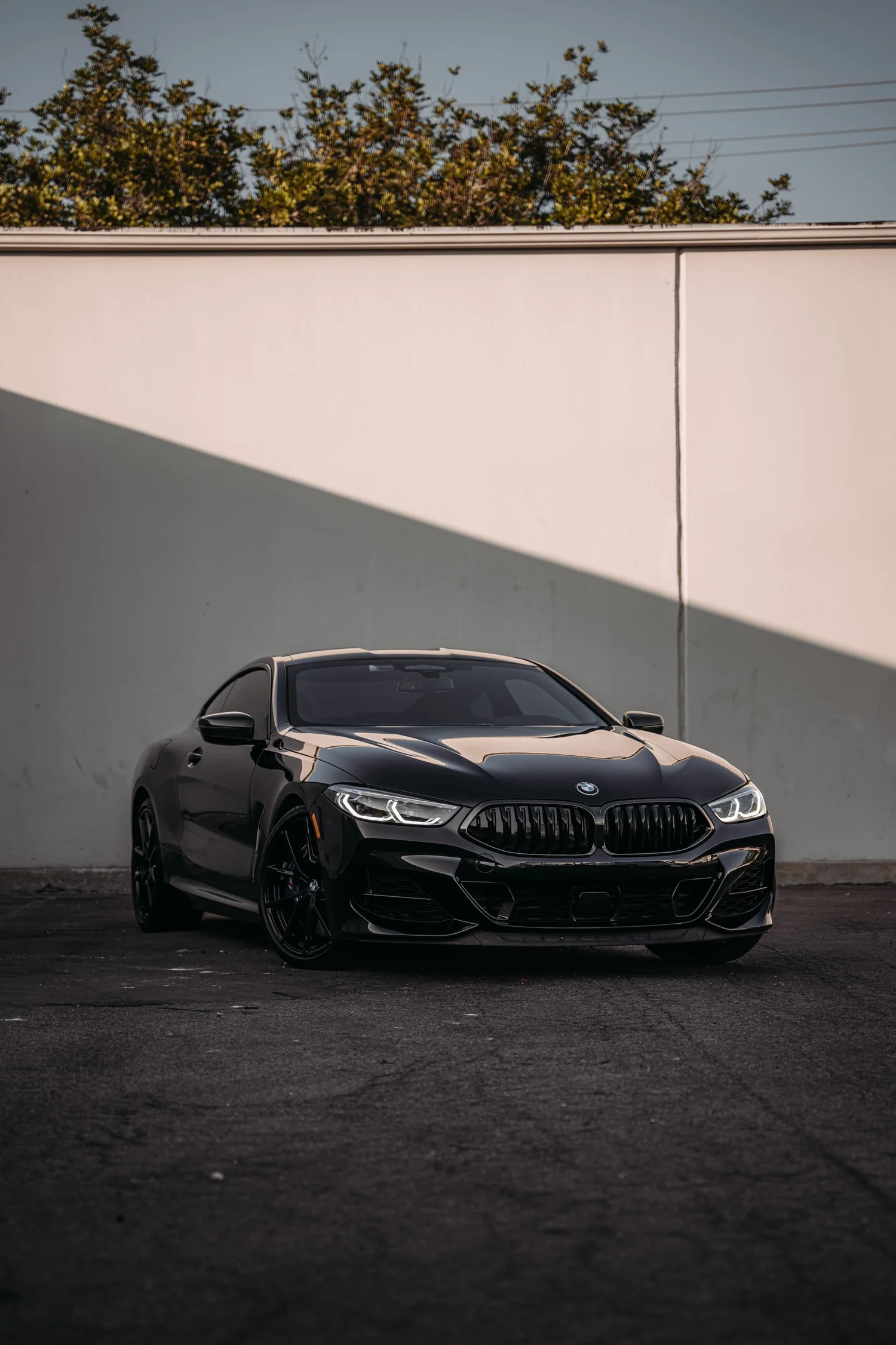 BMW M850i Brake Caliper Color Change after Brake Caliper Repaint, low-angle front view