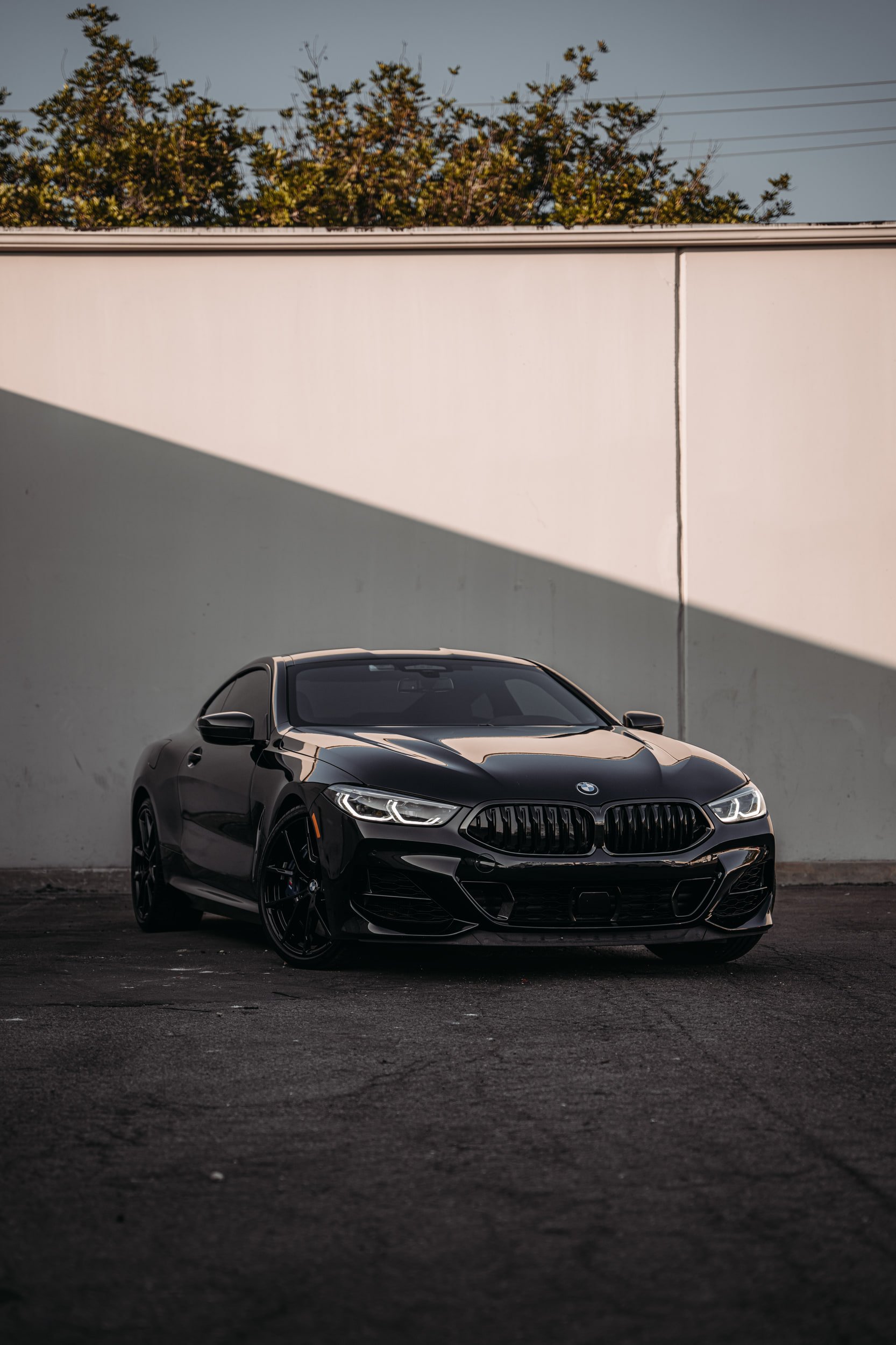 BMW M850i Brake Caliper Color Change after caliper repaint in Irvine