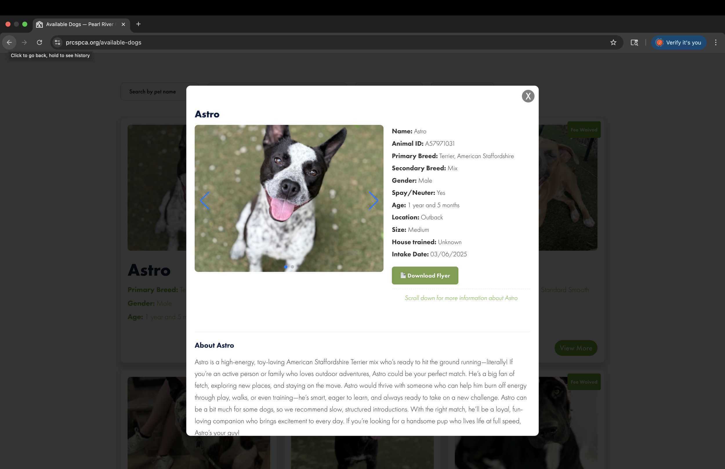PRCSPCA Website Popup