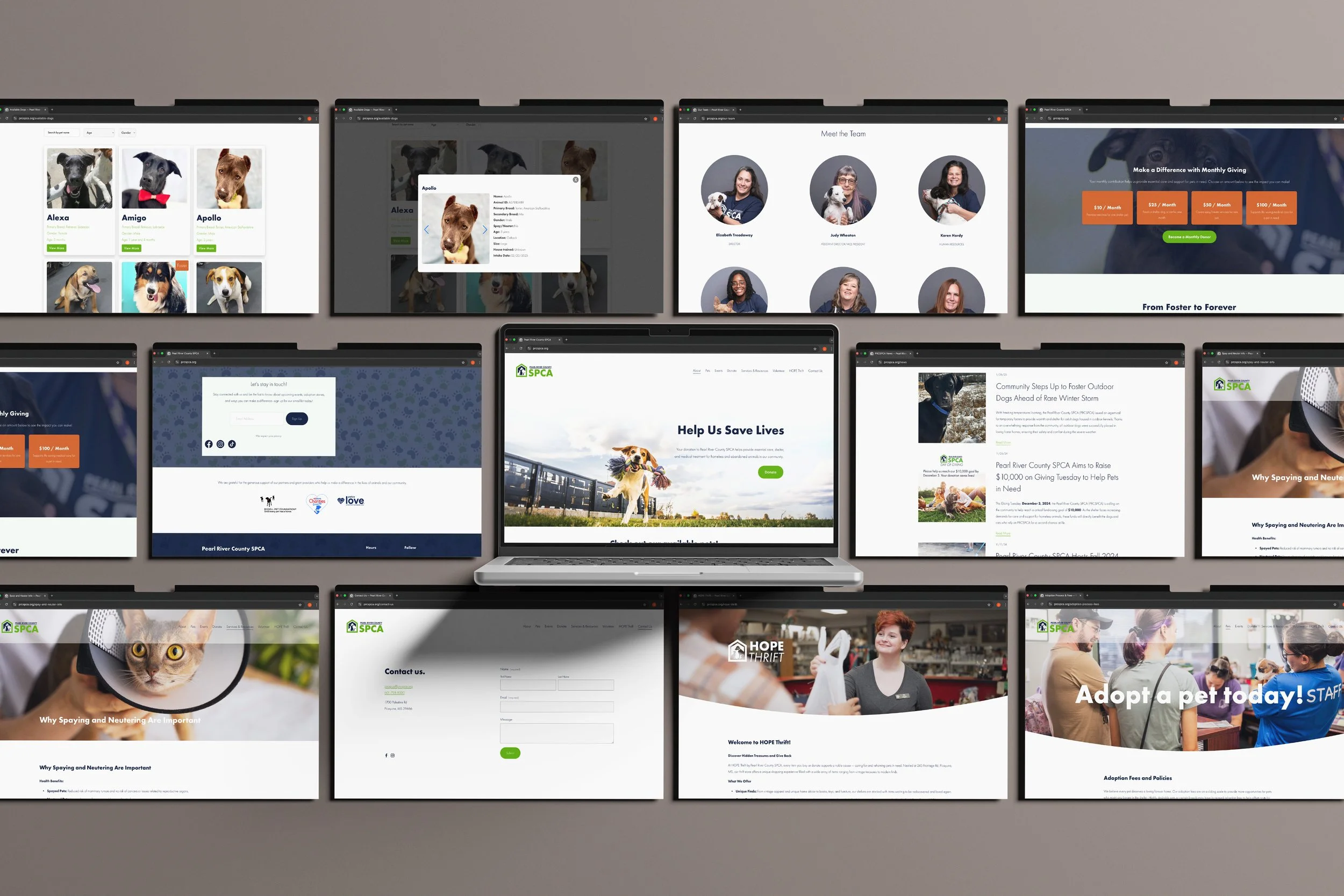 PRCSPCA Website Mockups